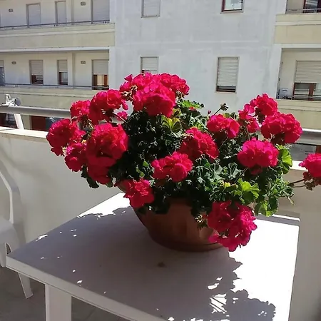 Casamia. Confortevole Vicinissimo Al Mare Lägenhet *